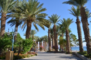 Boulevard Eilat